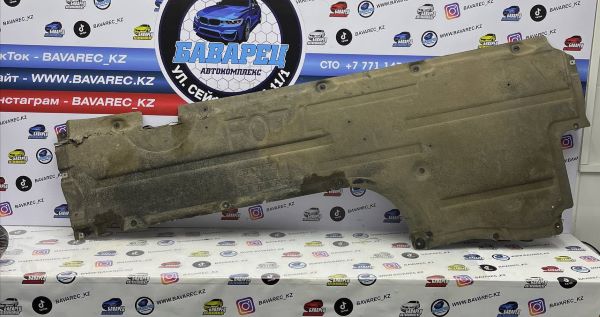 Защита F07 боковая L 